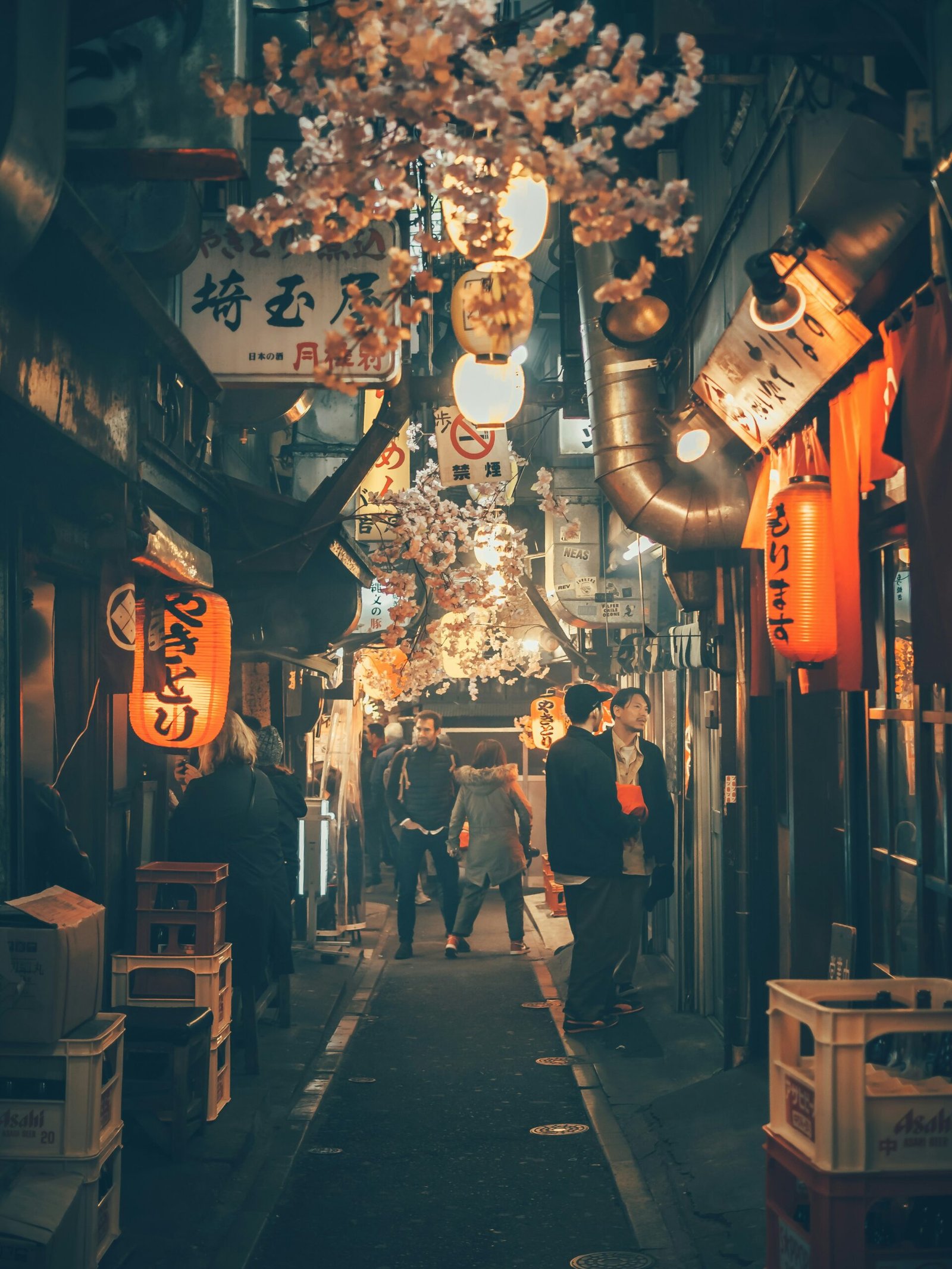 Exploring Japan Solo: A Comprehensive Guide for the Adventurous Traveler